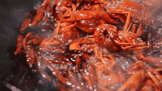  菠萝|《2020最新小龙虾地图》.zip