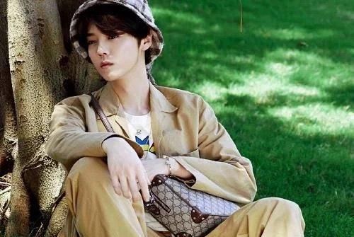 来头|鹿晗官宣新综艺,“天霸动霸傻狍子”同时发文,神秘嘉宾有来头