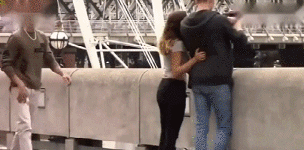 GIF|搞笑GIF：哥们，你这是在用鸽子做导航吗？想象力真丰富