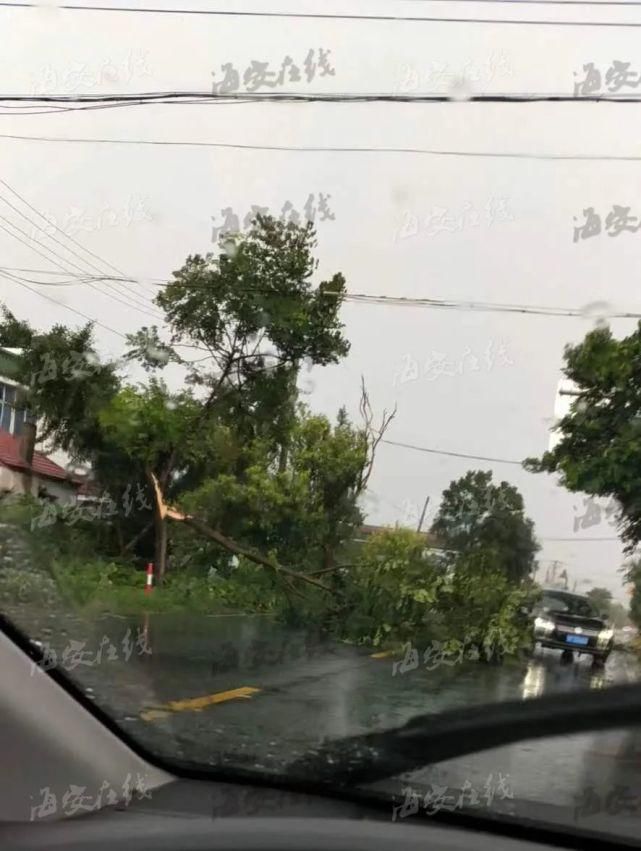  折断|今晨海安突发大风，屋顶被掀翻，树枝被折断，太阳能热水器掉落...
