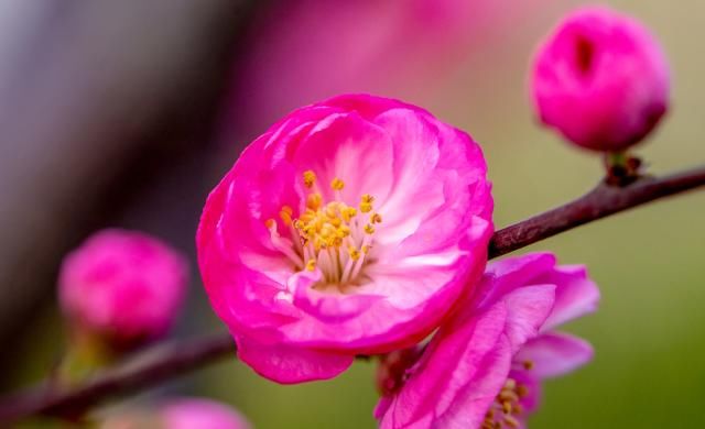  排行榜|十二星座男颜控排行榜，天秤座：颜值能当饭吃