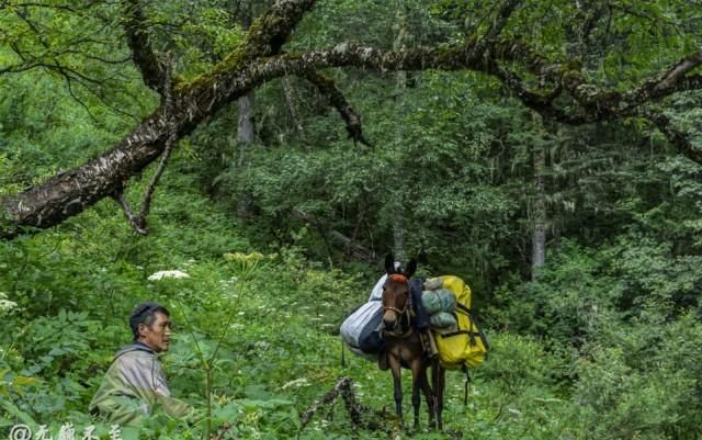 隐秘|彩云之南，梅里北坡，超级隐秘的世界级徒步线路