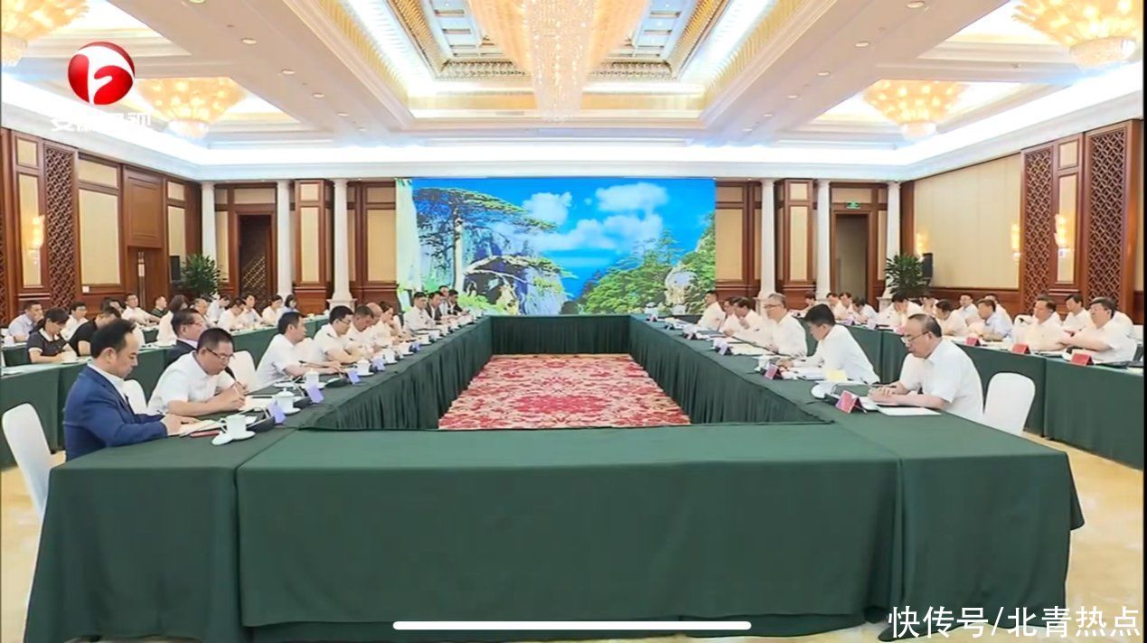 安徽省部分领导与上海知名企业家座谈 洪清华参加并发言