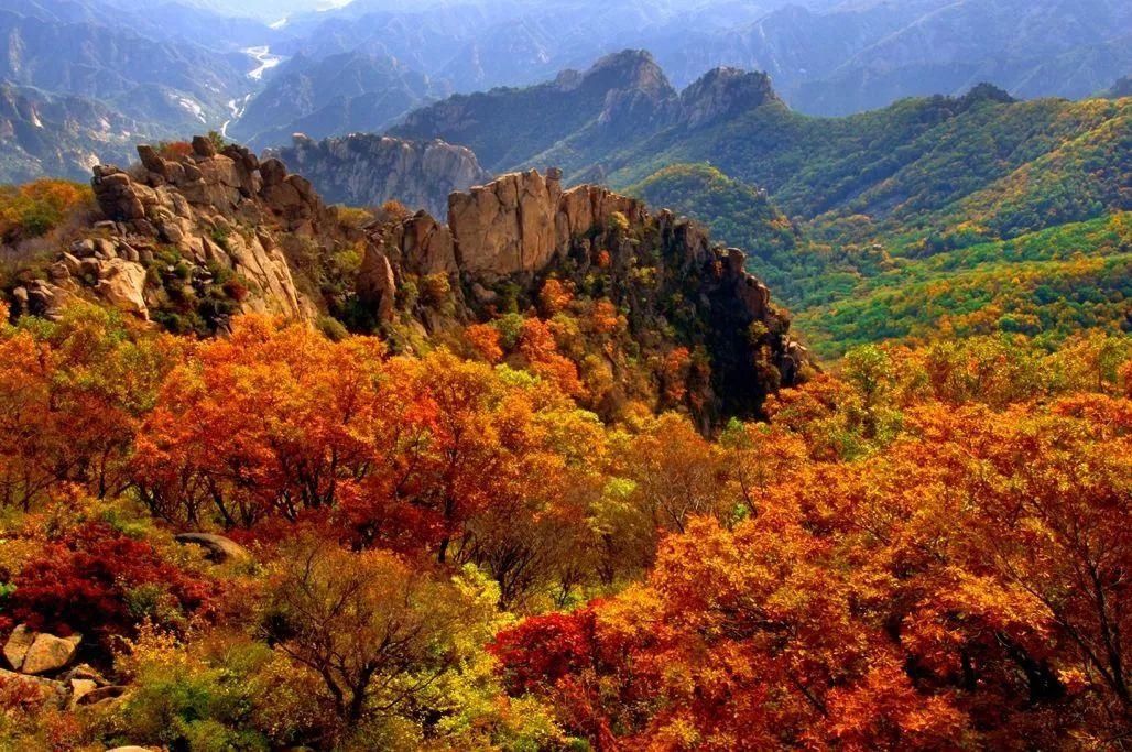 空中画廊|万山红遍!河北12个绝美秋景,邯郸的是这里!