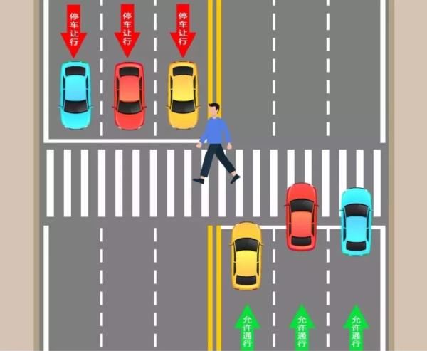 车道的机动车|开车如何礼让行人？看图操作