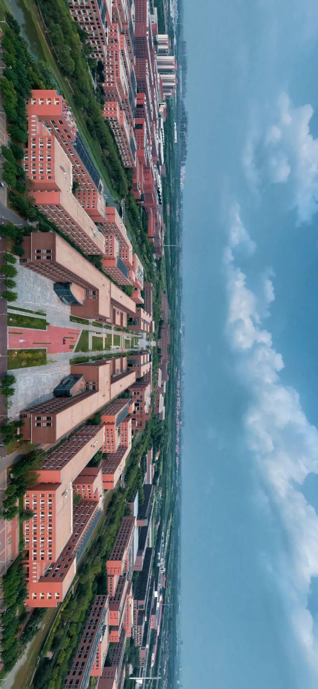 北洋园|啊,我的天大啊!