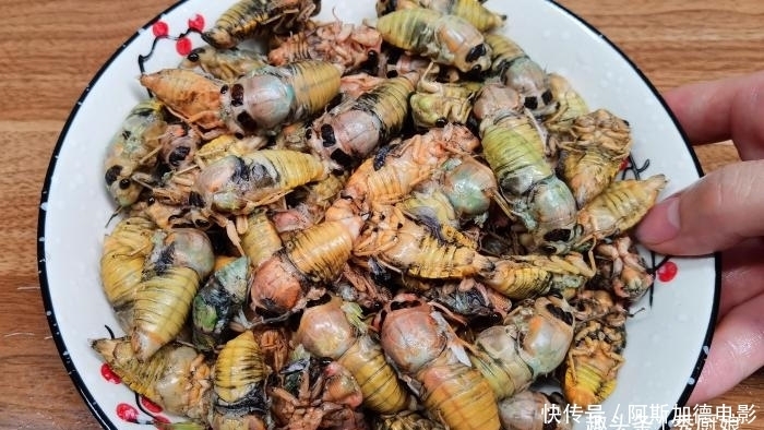 高蛋白|三伏天,宁可不吃肉,遇到此美味别手软,高营养高蛋白,别不懂吃