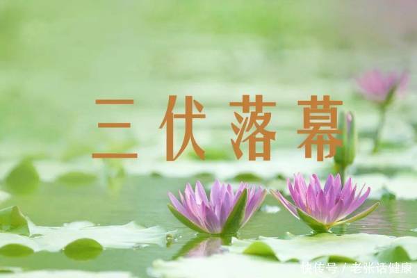 出伏日吃什么(“出伏日”再忙别忘了吃4样，尊重老传统，轻松度秋！)