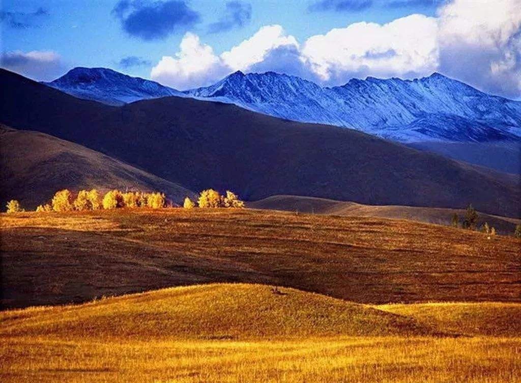 历史|秦始皇陵发现单体金骆驼,那时中原没有骆驼,是新疆人“送”来的