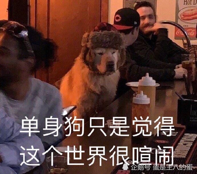 过成|那些“不婚主义者”，最后都过成了什么样？