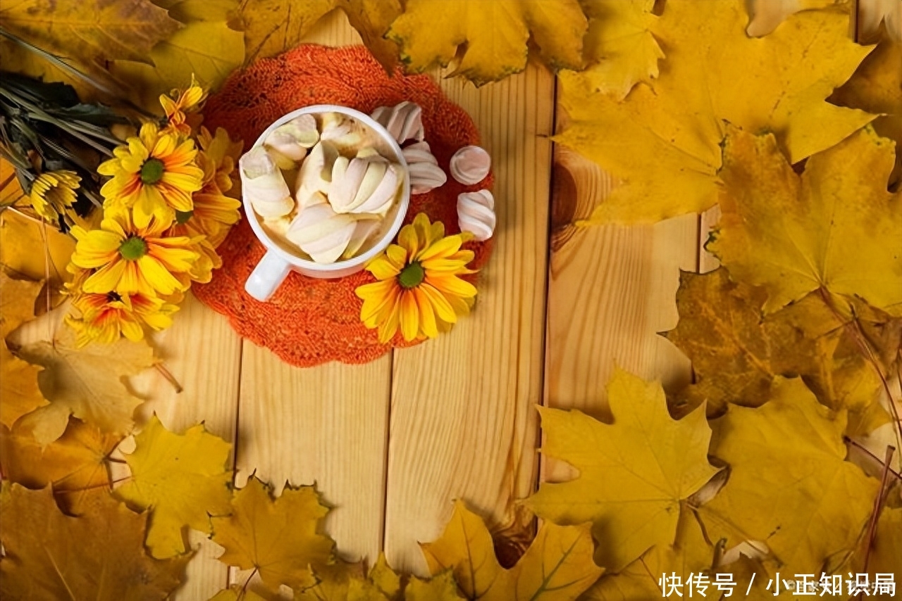 秋季养生十二大要点!六要六不要?让你健康度过金秋时节！2023
