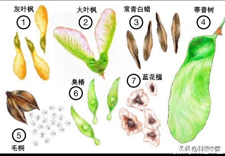 来看它们春风吹又“生”，“生”孩子的“生”！2023