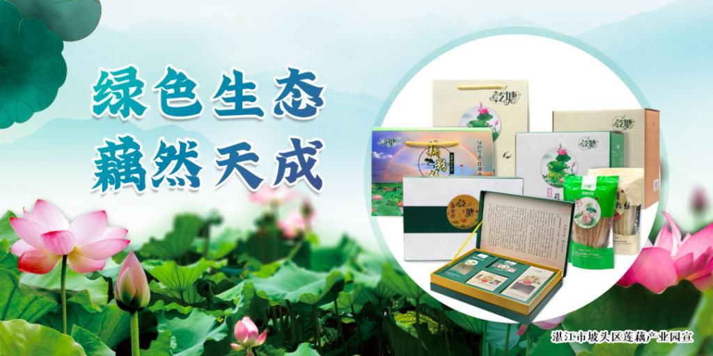  湛江市坡头区摄影协|映日荷花醉「乾塘」