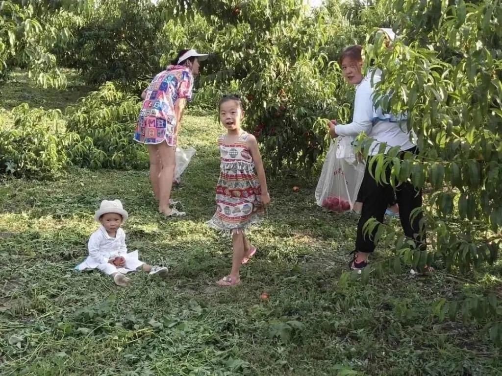  三缘宝地|【夏日乐“桃桃”】这么撩人的桃子，还不赶紧过来看看！！