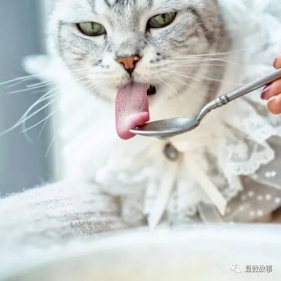  这届|23岁农村女孩年入1亿，这届大学生有多野？