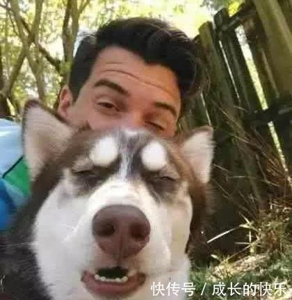  随便|千不要随便和哈士奇拍照，有一百种方法抢镜，铲屎官无奈了