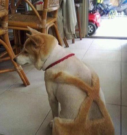  跳舞|搞笑囧图：跳舞的女孩子看似温柔，但她们和女汉子就差一步