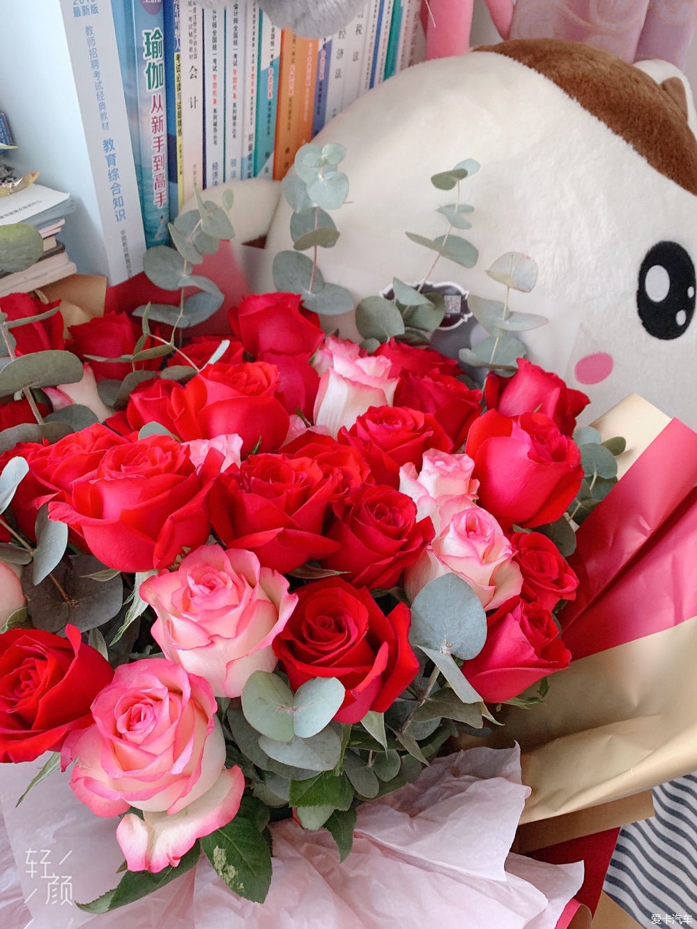  解释|【我们都过了解释的年纪】新的起点，出发吧