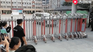 高考|高考文化课391分，立过学霸人设的张子枫果然被嘲了