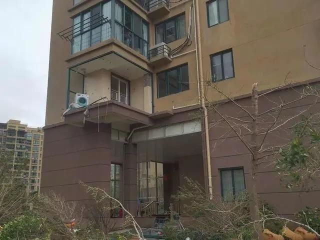 坠亡|台风天坠亡女子家属要求鉴定房屋质量：一栋楼至少7家窗户被吹毁
