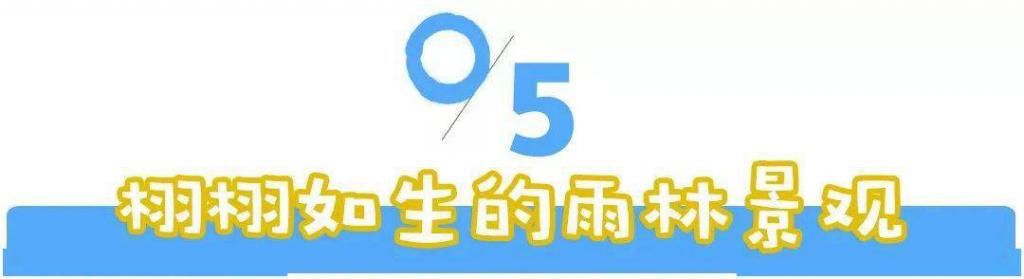  炎炎夏日|炎炎夏日想玩雪？来这里！