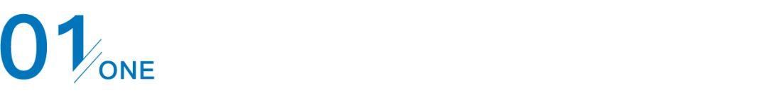 异国|父母非法滞留他国18年,17岁华裔少年担心被遣返:他们为什么“拼死”也要留在异国?