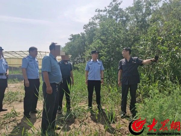 四项创建 | “滨锋52”看滨城 ：执行到位土地113亩，返地复耕保民生