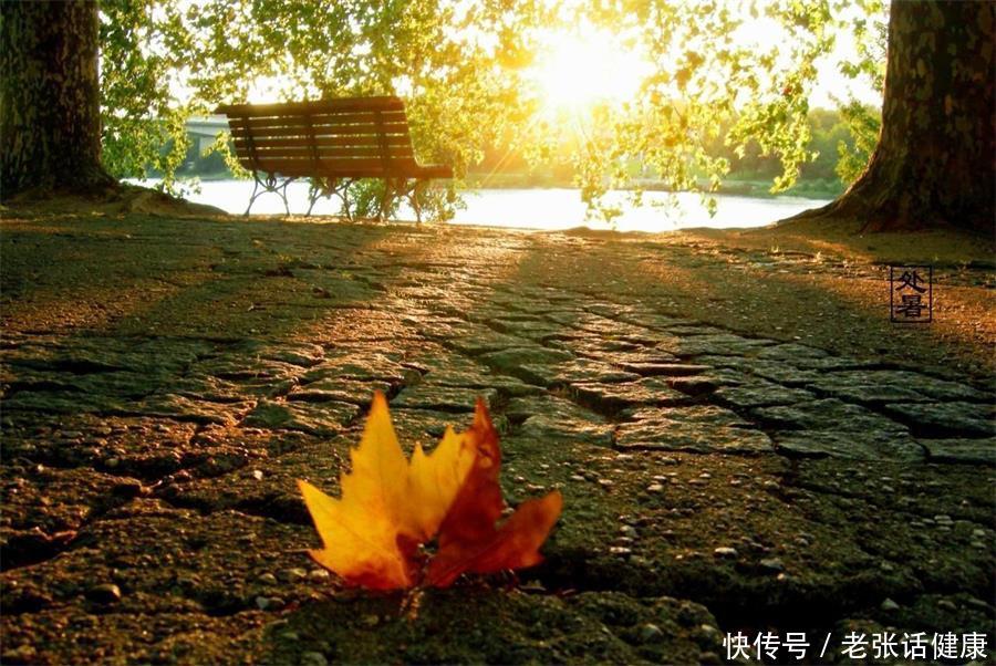 如何缓解秋乏烦恼(春困秋乏，秋季每天疲惫不堪，该如何缓解？这些小妙招不妨试试)