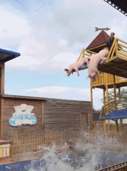 GIF|搞笑GIF:湖说,这次也不是要你命就是给你个教训。