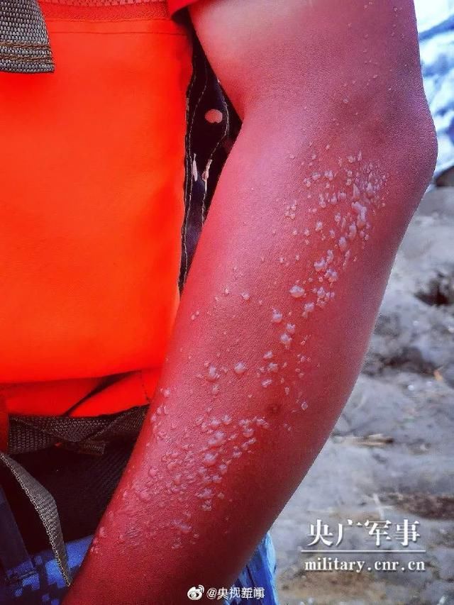  不想|洪水来了，最不想看到的一幕发生了……