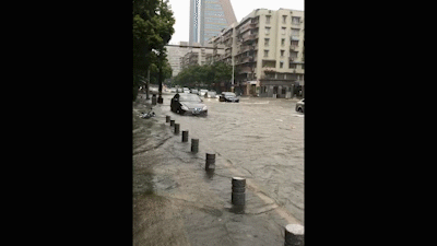  人或管理人|“黑格比”走了，被砸、被淹的汽车怎么办？