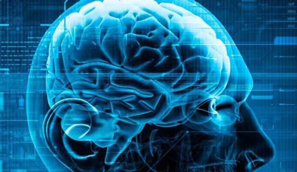  心脏|大脑重要还是心脏重要？很多人已经猜到了答案！