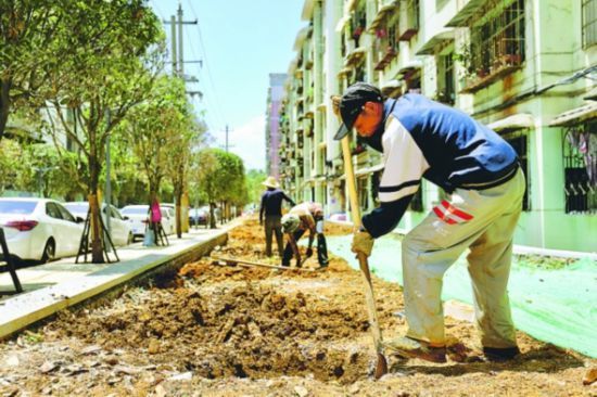 尖山小区|完善设施优环境 居民生活更便利