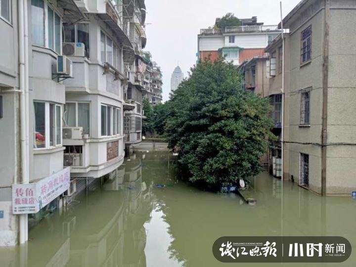  姜先生|价值25万的字画“被困”，消防员划着冲锋舟“抢救”