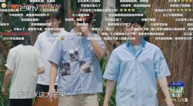  张子枫|《向往的生活》原来是学习综艺！张子枫同款备考法，顺利拿会计证