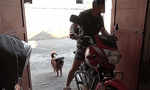  出车祸|男子搭摩托出车祸，向车主索赔40万被拒，车主：是你自愿上的车