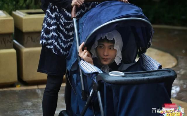  杨洋录|杨洋录综艺戴婴儿帽将自己塞进婴儿车，网友:失传已久的缩骨功?