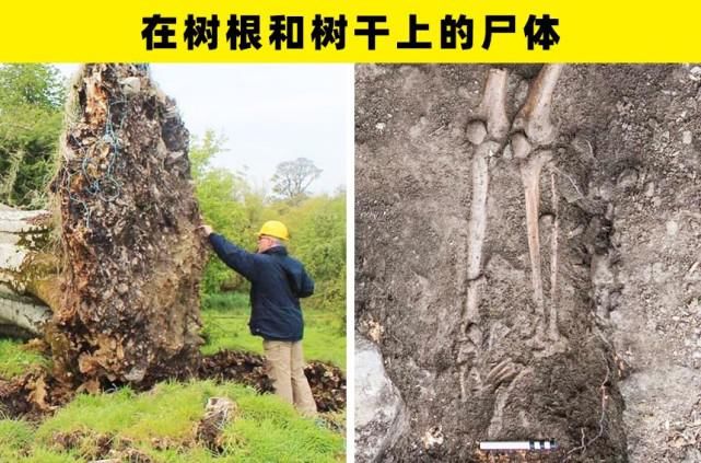 地下|人类在地下发现的7个非常可怕的东西