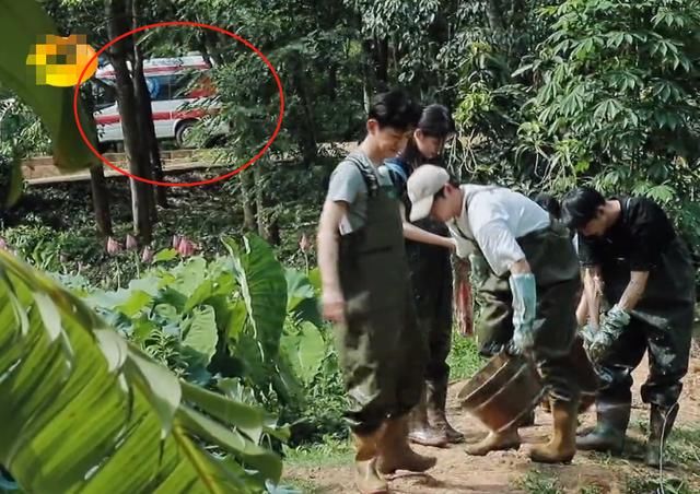  泥里面|《向往的生活》明星下藕池，镜头扫过角落，节目安全防范意识强