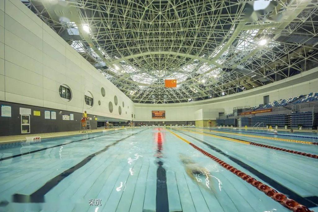  游泳池|不游泳，不夏天！苍南县各游泳池（馆）大盘点！