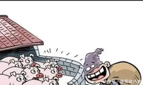养殖户|又有偷猪贼!一个月竟偷了100余头猪……