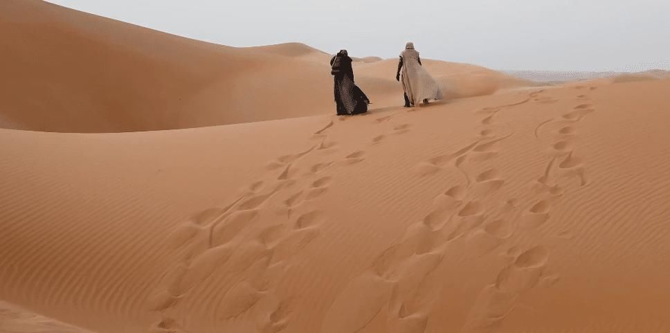 荧幕|张震也去了！55年前的科幻巨著再次被搬上荧幕，演员阵容很豪华