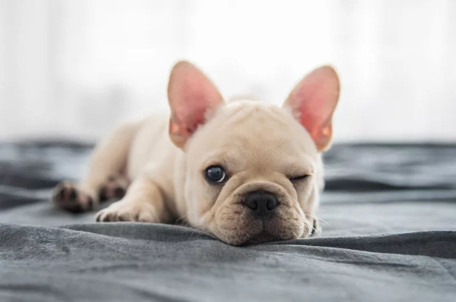  中招|警惕！已到高发季！有医院一天接诊119人，广东也有人中招