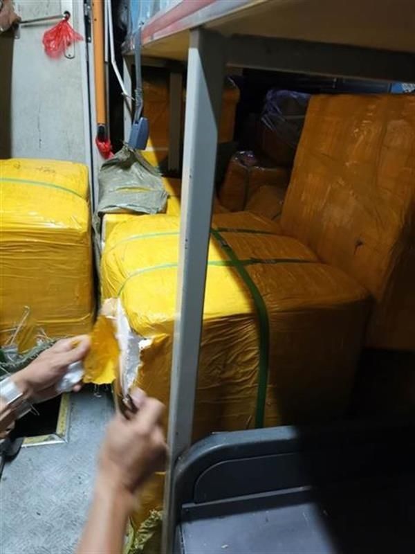 飞禽走兽|行李厢和车厢内暗藏“飞禽走兽”，卧铺大客车偷运野生动物被查