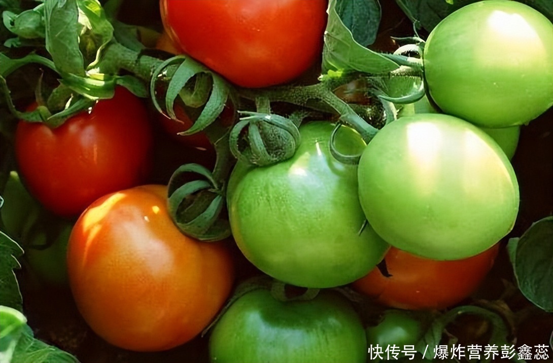 西红柿营养价值高，但对于这3种家常做法，很可能存在健康隐患