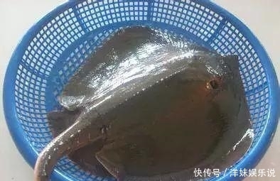 海鲜|海鲜大全, 你能认出多少