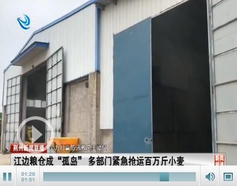 粮仓|江边粮仓成＂孤岛＂ 荆州多部门紧急抢运百万斤小麦