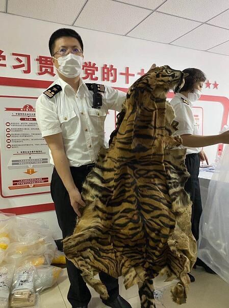 移交|大连海关移交921件查没濒危动物及其制品