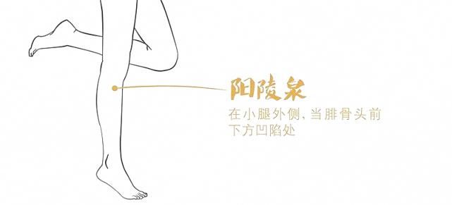 凹陷|汴梁养生|十大常用天然“止痛开关”,帮我们缓解疼痛!