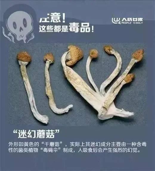  伪装|急扩，这种“普通”食物竟是新型毒品伪装，警方特别提醒！